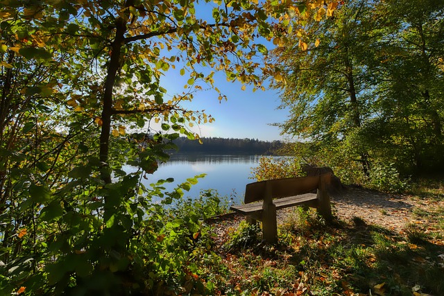 澳网：再胜一场 德约科维奇3-1战胜法里亚.