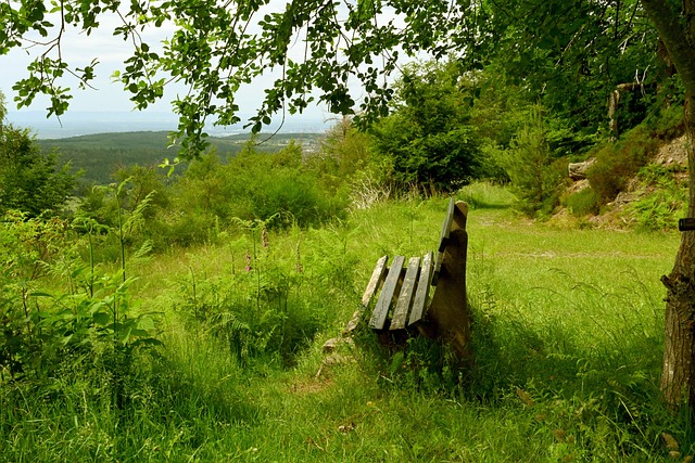 竭尽全力！布里奇斯全场轰下23分6板仍输球.